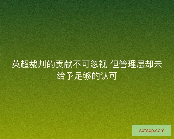 英超裁判的贡献不可忽视 但管理层却未给予足够的认可