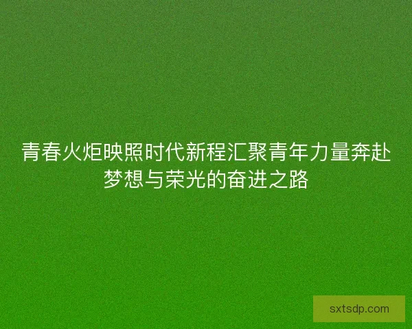 青春火炬映照时代新程汇聚青年力量奔赴梦想与荣光的奋进之路